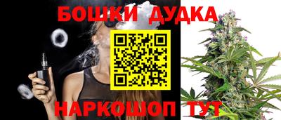 сатива Кингисепп