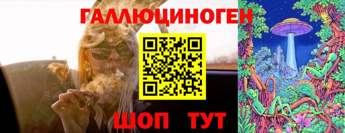 Энгельс  Галлюциногенные грибы MAGIC MUSHROOMS  Вход с VPN 