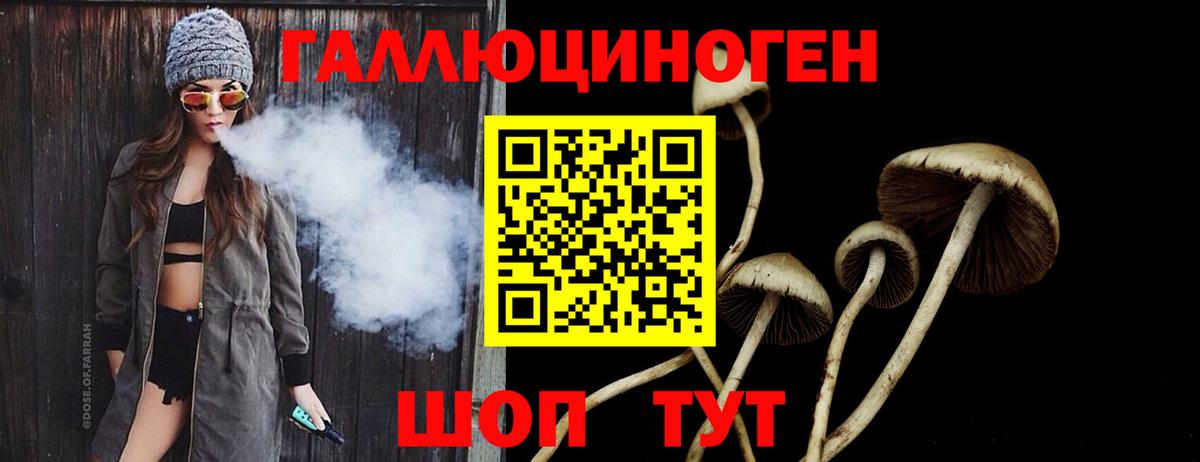 Галлюциногенные грибы прущие грибы Энгельс